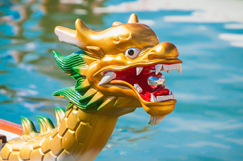 The face of a gold dragon face on the front of a dragon boat. Its mouth is open has very white fangs, red mouth with a shiny silver ball inside.