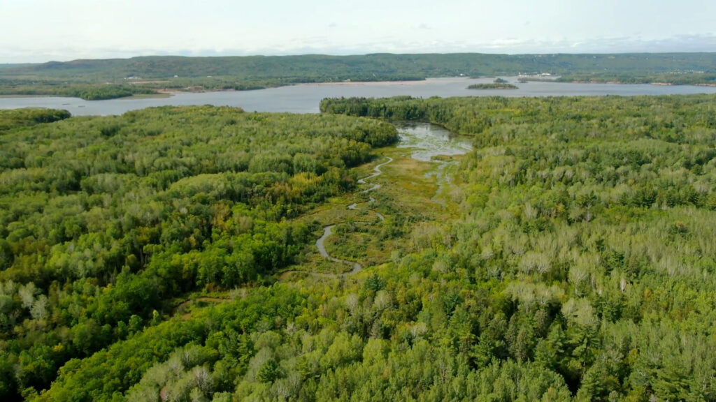 A huge wetland and forest that are on the Wisconsin side of the St. Louis River - the largest estuary on Lake Superior.
