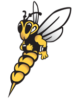 University of Wisconsin Superior Yellowjacket mascot.