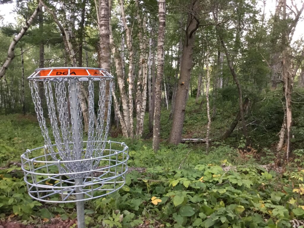 A picture of a disc basket in a heavily wooded forest with birch trees and green foilage.