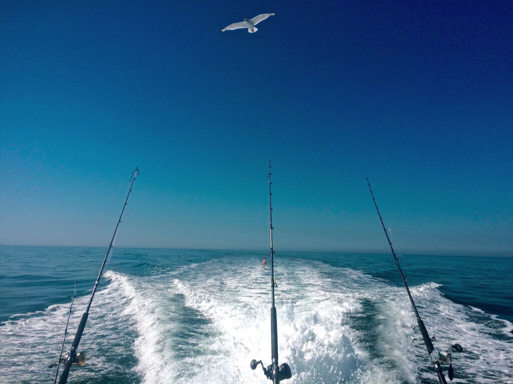 Three fishing rods are set up on the back of a boat gliding across calm blue water, leaving a foamy wake—a perfect scene for summer activities in Superior Wisconsin, as a seagull soars overhead under the clear sky.