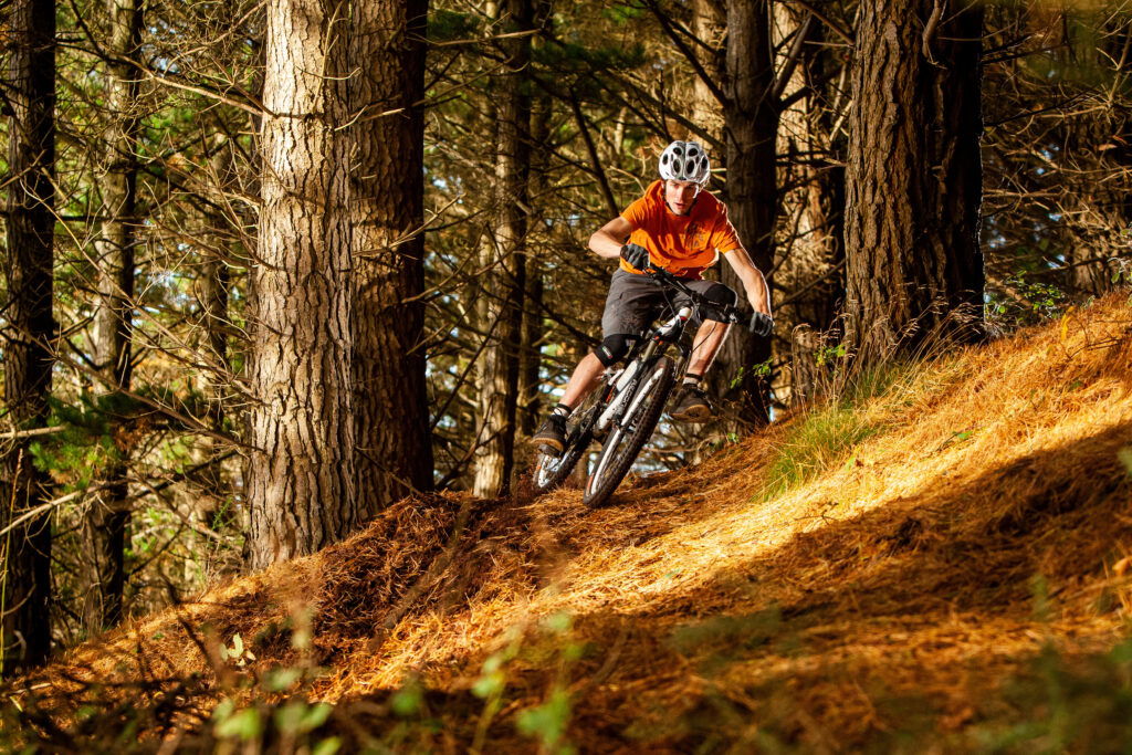 A person wearing an orange shirt and helmet rides a mountain bike down a steep, sunlit trail in a forest with tall trees and golden pine needles.