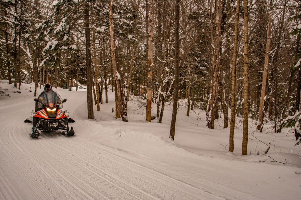 A person rides a bright red snowmobile through a snowy, tree-lined forest trail in winter, surrounded by tall trees with patches of snow on their branches.