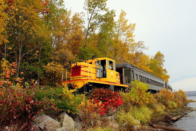 A yellow and red train travels beside a river, surrounded by the vibrant fall colors in Superior Wisconsin and Douglas County. The scene features brilliant reds, oranges, and yellows, with the train partially hidden by lush autumn foliage.