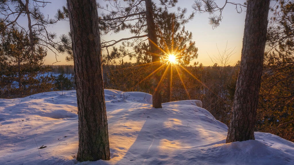 The sun sets behind tall pine trees, casting long shadows on a snow-covered hill—branches and distant trees are bathed in warm golden light, capturing the magic of a peaceful Wisconsin winter vacation.