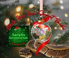 A festive ornament with flowers hangs on a Christmas tree, next to a brown snake and a green sign reading "Sarah's Serpentarium." Red text says, "Make Your Own Serpent Bauble.