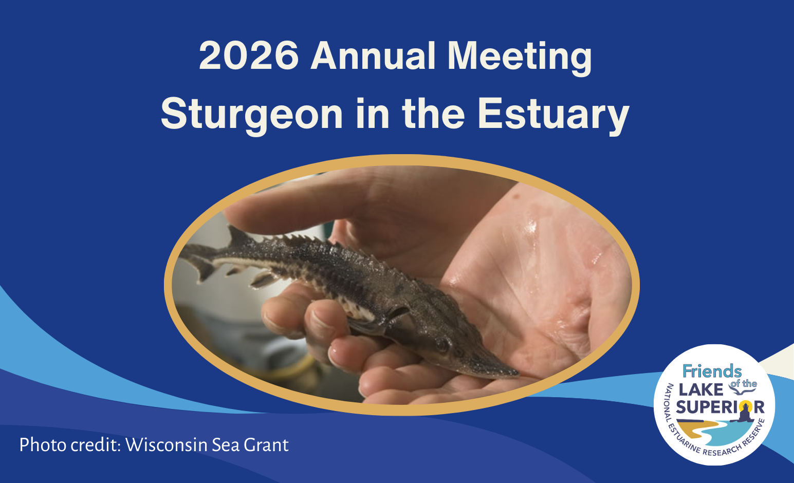 A person holds a small sturgeon fish in their hand. Text reads: "2026 Annual Meeting Sturgeon in the Estuary." The Friends of Lake Superior logo is visible in the lower right corner. Photo credit: Wisconsin Sea Grant.