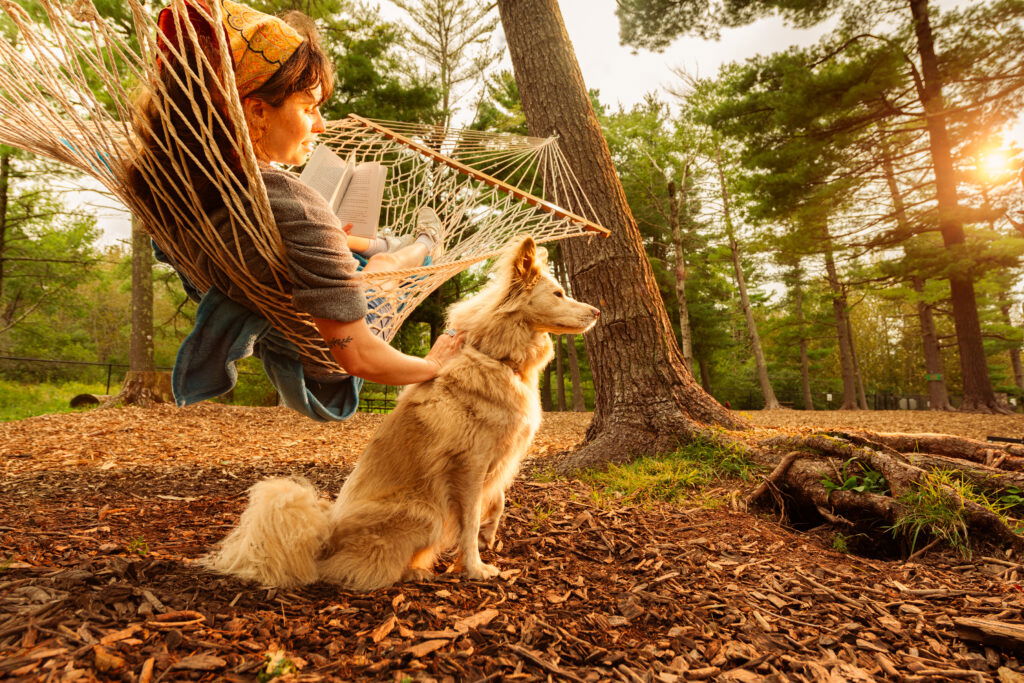 A person relaxes in a hammock, reading a book, with one hand resting on a fluffy dog sitting on the ground. Surrounded by tall trees and warm, golden sunlight, it’s an idyllic scene perfect for Wisconsin family vacations.