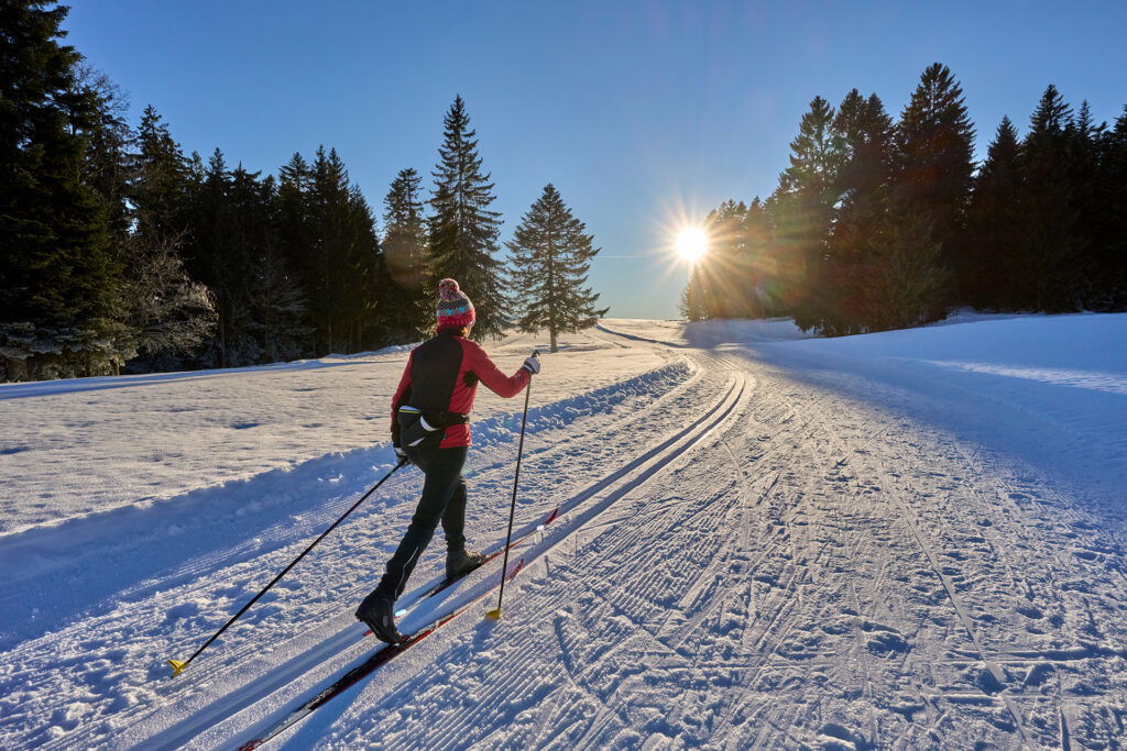 A person is skiing in Superior, Wisconsin on a snow-covered trail lined with pine trees under a clear blue sky as the sun rises or sets near the horizon.