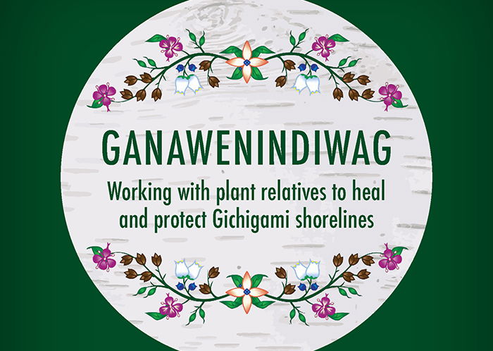 A circular sign with floral designs reads: "GANAWENINDIWAG: Working with plant relatives to heal and protect Gichigami shorelines" on a wood-textured background, bordered by green.