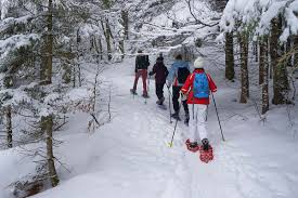 Four people walk through a snowy forest, wearing snowshoes and winter clothing. They use poles to help navigate the snow-covered path surrounded by trees.