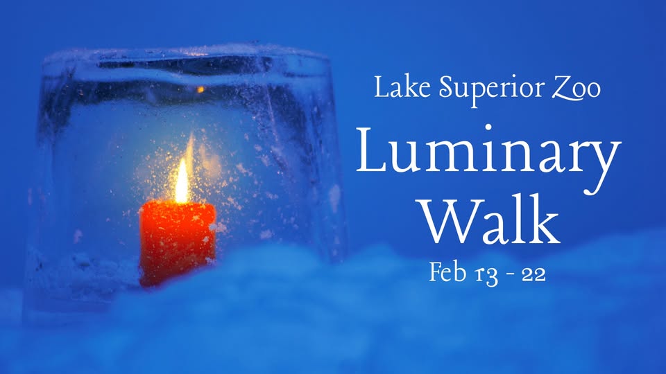 A red candle burning inside a clear ice holder, surrounded by snow, with text: "Lake Superior Zoo Luminary Walk Feb 13 - 22.
