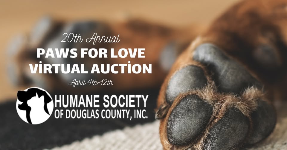 Close-up of a cat’s paw and a dog’s paw touching on a soft surface, with text promoting the 20th Annual Paws for Love Virtual Auction by the Humane Society of Douglas County, April 4th–12th.