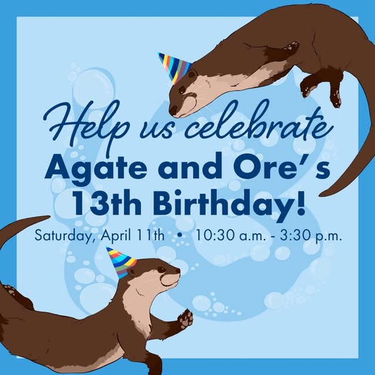Illustration of two otters wearing party hats, with text inviting people to celebrate Agate and Ore's 13th birthday on Saturday, April 11th, from 10:30 a.m. to 3:30 p.m. Blue background with bubbles.