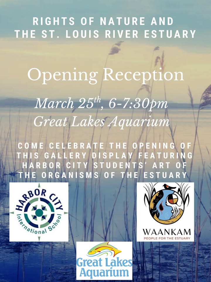 Flyer for "Rights of Nature and the St. Louis River Estuary" opening reception on March 25th, 6–7:30pm at Great Lakes Aquarium, featuring Harbor City students' art. Includes three logos at the bottom.