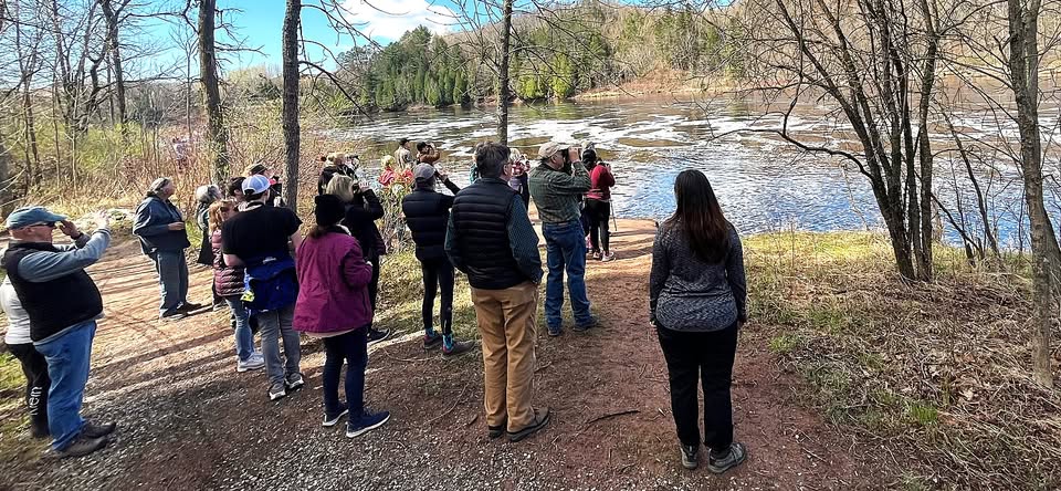 Everyone Can Bird!: Spring Migration @ Chambers Grove Park – Duluth