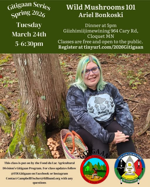 A person with mint green hair and glasses sits outdoors, smiling and holding a mushroom, next to a Wild Mushrooms 101 event flyer with details about the class, date, time, location, and registration information.