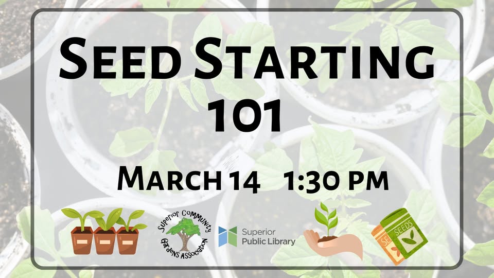 Event flyer for “Seed Starting 101” on March 14 at 1:30 pm, with plant and seedling icons, logos for the Superior Public Library and Superior Community Gardens Association, over a background of seedling pots.