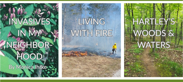 Three panels: left shows invasive plants with text "Invasives in My Neighborhood by Monica Ihrke," center shows a controlled burn with text "Living with Fire," and right shows a lush green forest path with text "Hartley's Woods & Waters.