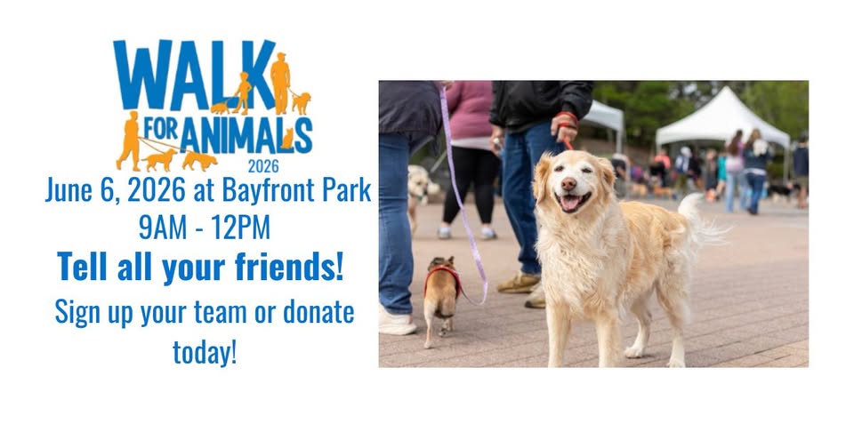 A promotional image for "Walk for Animals 2026" taking place on June 6, 2026, at Bayfront Park from 9 AM-12 PM. Includes a photo of a happy dog on a leash at an outdoor event with people and tents in the background.