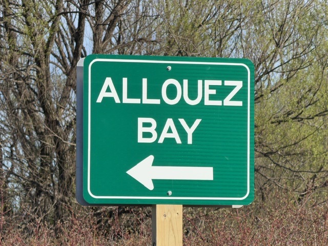 A green road sign with white text reading "ALLOUEZ BAY" and a left-pointing arrow, with trees and bushes in the background.