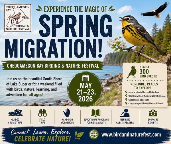 Promotional flyer for the Chequamegon Bay Birding & Nature Festival, May 21–23, 2026, featuring a warbler, festival highlights, activities, and a lakeshore scene with birds and trees. Website and slogan: "Experience the Magic of Spring Migration!.