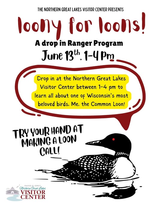 Loony for Loons! @ Northern Great Lakes Visitor Center @ Ashland