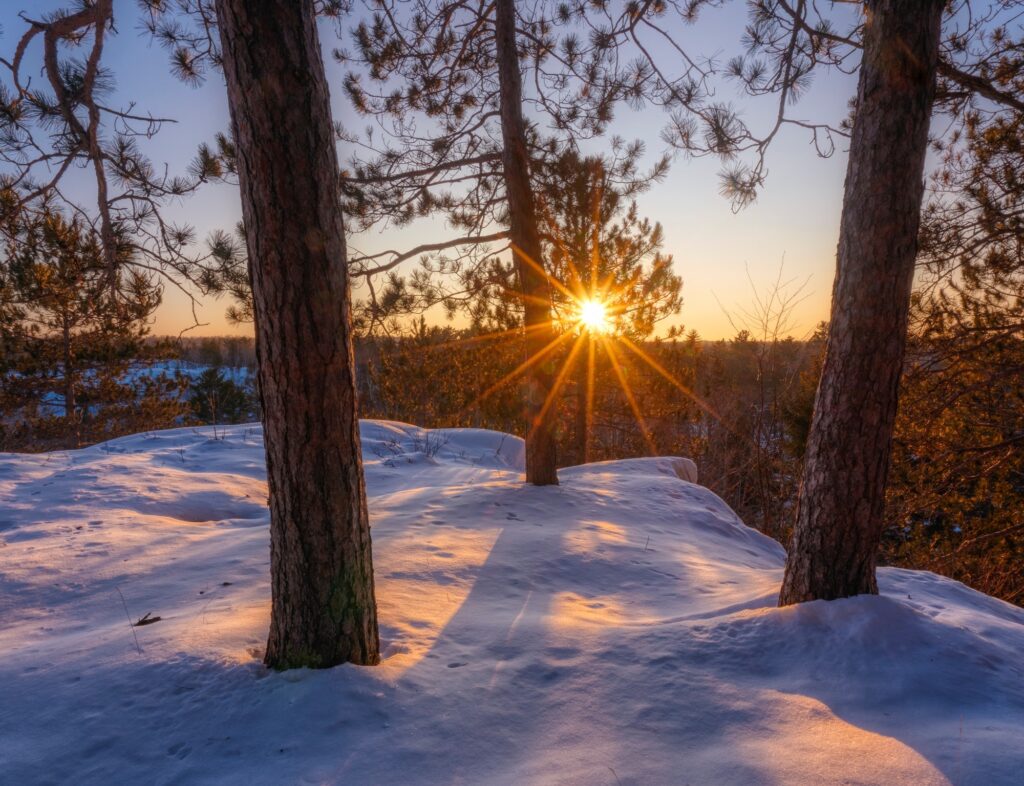 Sunset shining through pine trees on a snowy hill during the Lake Superior Ice Festival, casting long shadows and creating a warm golden glow on the snow. The sky is clear with soft colors of dusk.