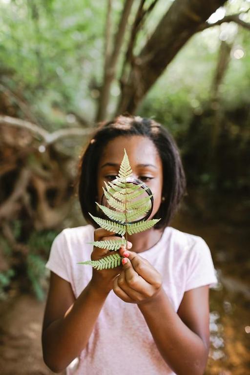 A person stands outdoors holding a fern leaf and a magnifying glass, which they use to examine the leaf. Trees and greenery are visible in the blurred background.