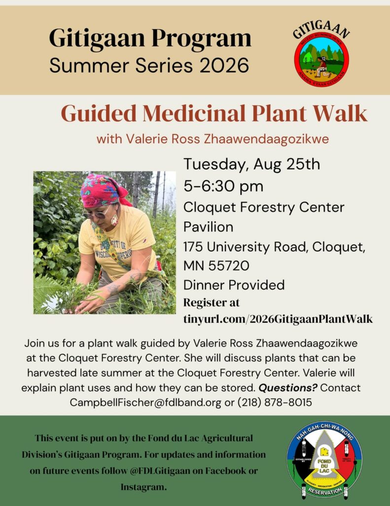 Flyer for a Guided Medicinal Plant Walk at Cloquet Forestry Center on Aug 25, 2026. Features speaker Valerie Ross, event details, registration link, dinner included, and logos for Gitigaan Program and sponsors.