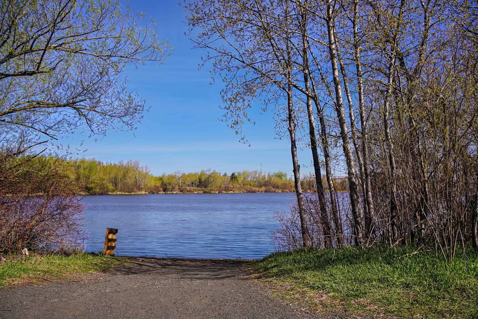 A dirt path leads to a calm lake surrounded by trees with budding green leaves under a clear blue sky on a sunny day.