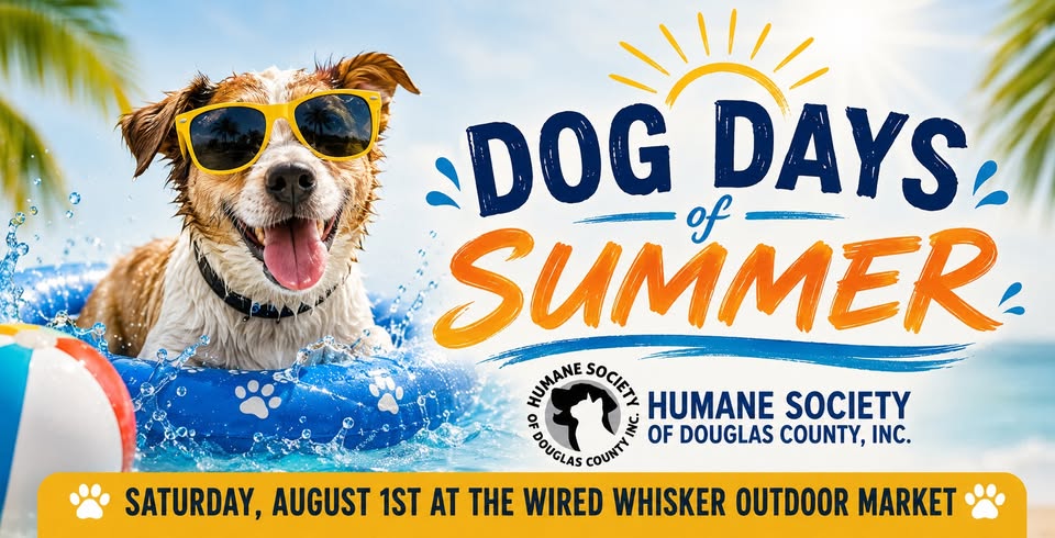 A happy dog wearing sunglasses sits in a pool float. Text: "Dog Days of Summer." Humane Society of Douglas County, Inc. Event is Saturday, August 1st at the Wired Whisker Outdoor Market.