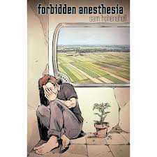 A person sits barefoot on the floor by a window, covering their face. A small plant is next to them. Outside the window, green fields are visible. The text reads “forbidden anesthesia” and “sam helenfeldt.”.