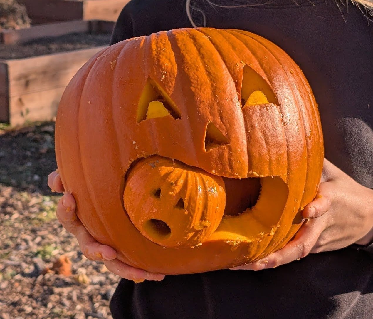 A person holds a carved pumpkin with a large mouth eating a smaller, scared-looking pumpkin. Sunlight highlights the orange pumpkins.
