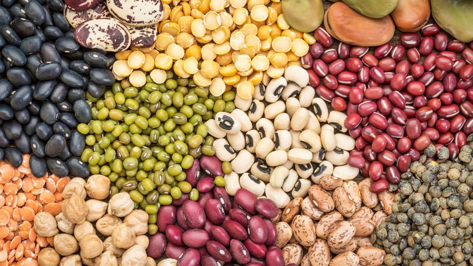 An assortment of dried beans, peas, and lentils arranged in piles.